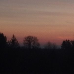 Meet your Posher, Janae